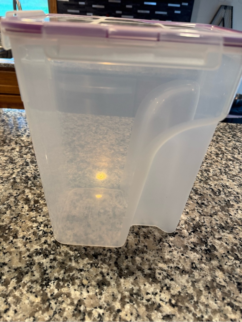 Snapware Clear Plastic Cereal Dispenser with Purple Lid